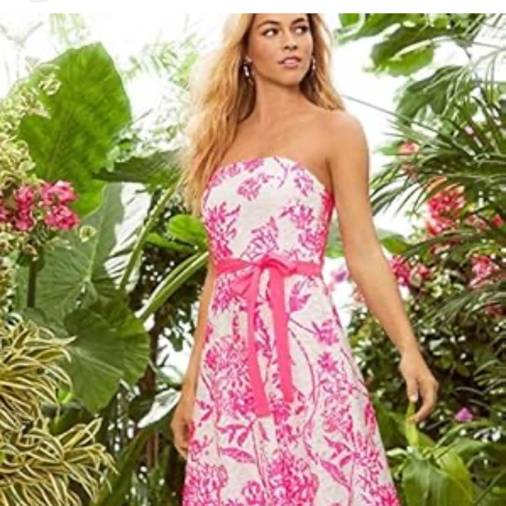Lilly Pulitzer sienna embroidered resort dress size 0